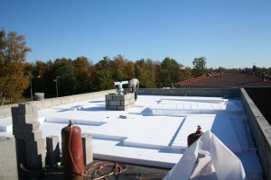 Leedri katus 002.jpg